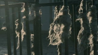 Кадр з фільму Матріарх