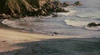 Кадр з фільму Жах