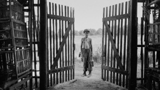 Кадр з фільму Пофарбоване пташеня