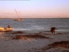 Кадр з фільму Улюбленець