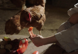 Кадр з фільму Ти не будеш на самоті