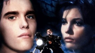 Кадр з фільму Бійцівська рибка