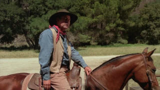 Кадр з фільму Самотній вершник