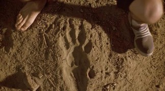 Кадр з фільму Шаблезубий