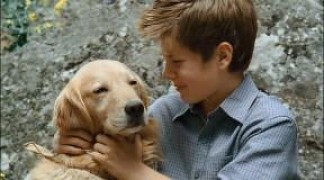 Кадр з фільму Діамантовий пес