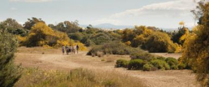 Кадр з фільму Операція "М'ясний фарш"