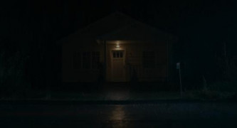 Кадр з фільму Дикунка