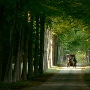 Кадр з фільму Мадам де Севіньє