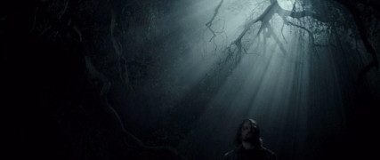 Кадр з фільму Вуаль