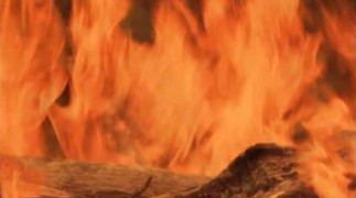 Кадр з фільму Сімейна зустріч