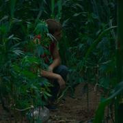 Кадр з фільму Алькаррас