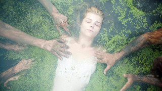 Кадр з фільму Коли падають дерева