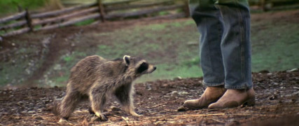 Кадр з фільму Незакінчене життя