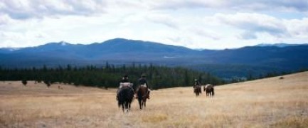 Кадр з фільму Золото