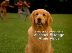 Кадр з фільму Король повітря. Сьома подача