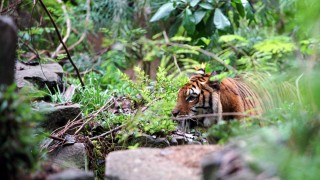 Кадр з фільму Двоє братів