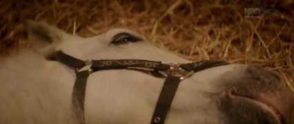 Кадр з фільму Легенда Лонгвуда