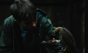 Кадр з фільму Кес