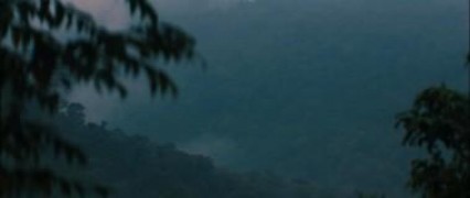 Кадр з фільму Господар джунглів