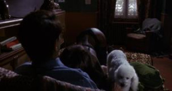 Кадр з фільму Гіркий місяць