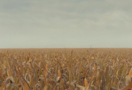 Кадр з фільму Фінікійська схема