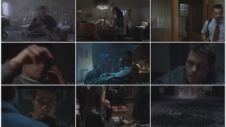 Кадр з фільму Жуки