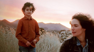 Кадр з фільму Дев'ять життів