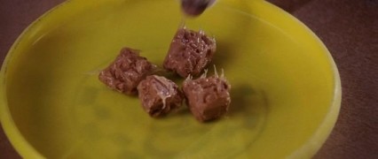 Кадр з фільму Крихітка з Беверлі-Гіллз