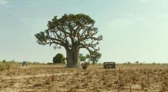 Кадр з фільму Легенда Саванни