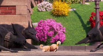 Кадр з фільму Секрети домашніх тварин 2