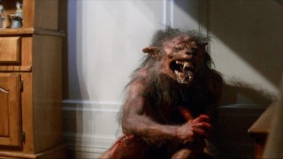 Кадр з фільму Ніч страху