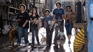 Кадр з фільму Готель для собак