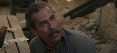 Кадр з фільму Дикий пес