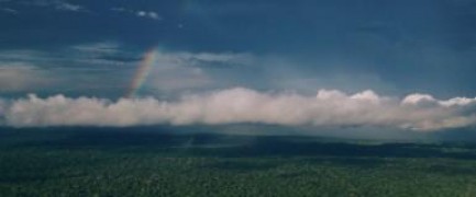 Кадр з фільму Джунглі