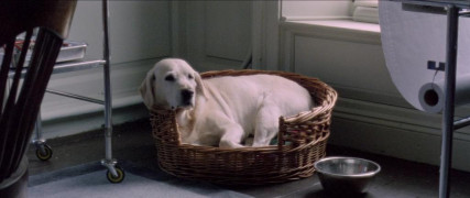 Кадр з фільму Клуб невдах