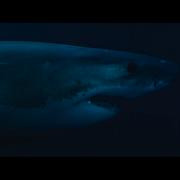 Кадр з фільму Небезпечна тварина