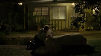 Кадр з фільму Заздрість