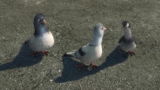 Кадр з фільму Вольт