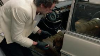 Кадр з фільму Страх