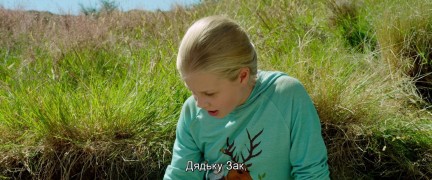 Кадр з фільму Прогулянки з динозаврами