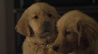 Кадр з фільму Золота зима