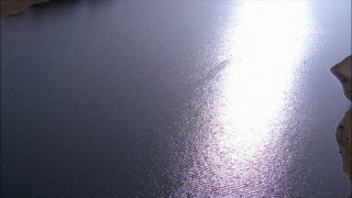 Кадр з фільму Лагідний Бен