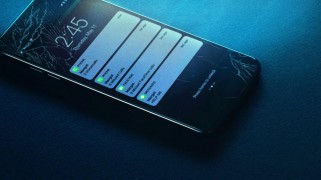 Кадр з фільму Пошук