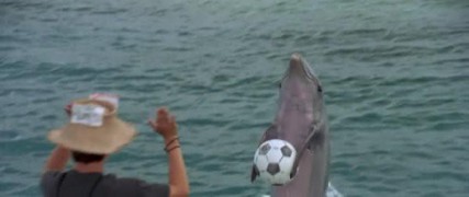 Кадр з фільму Фліппер