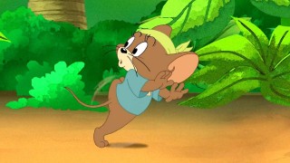 Кадр з фільму Том і Джеррі проти карибських піратів