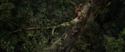 Кадр з фільму Земля після нашої ери