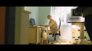 Кадр з фільму Ґамп: пес, який навчив людей жити