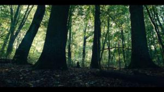 Кадр з фільму Кольори зла: Чорний