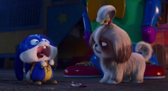 Кадр з фільму Секрети домашніх тварин 2