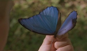 Кадр з фільму Блакитний метелик